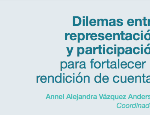 Libro: Dilemas entre representación y participación