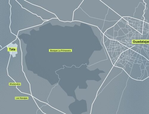 “Teuchitlán forma parte de un circuito desaparecedor”